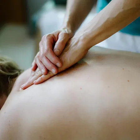 Hotell Adler Adelboden